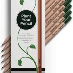 Seed Pencils